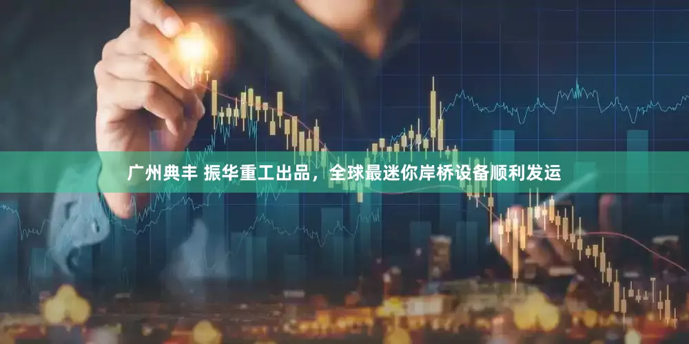 广州典丰 振华重工出品，全球最迷你岸桥设备顺利发运
