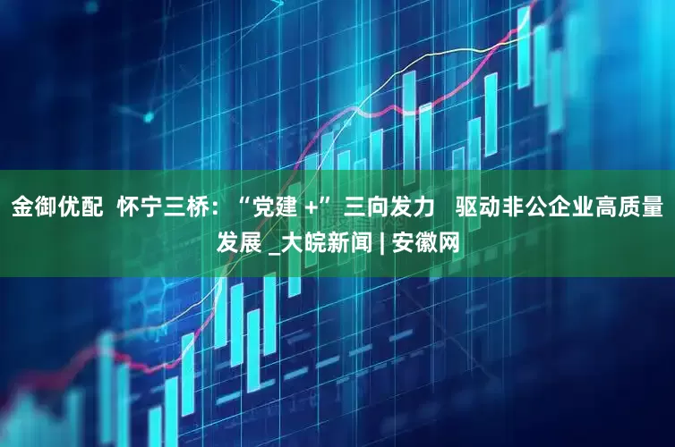 金御优配  怀宁三桥：“党建 +” 三向发力   驱动非公企业高质量发展 _大皖新闻 | 安徽网