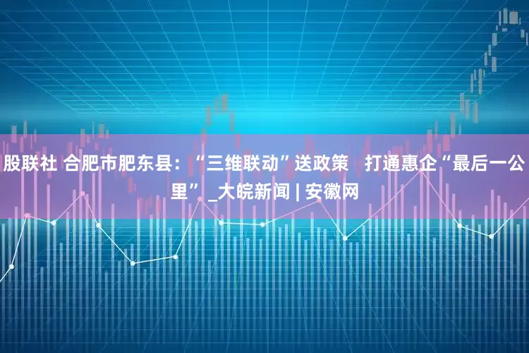 股联社 合肥市肥东县：“三维联动”送政策   打通惠企“最后一公里” _大皖新闻 | 安徽网