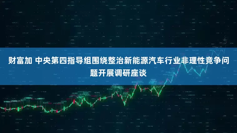 财富加 中央第四指导组围绕整治新能源汽车行业非理性竞争问题开展调研座谈