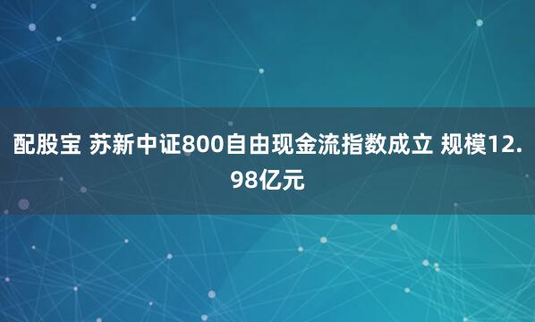 配股宝 苏新中证800自由现金流指数成立 规模12.98亿元