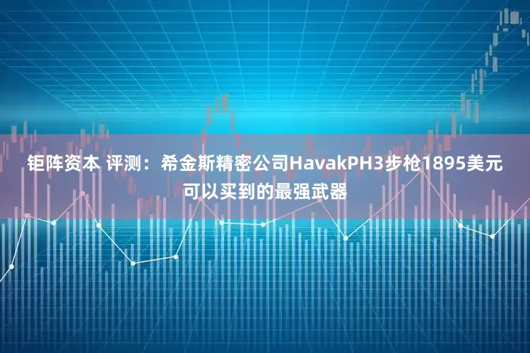 钜阵资本 评测:希金斯精密公司HavakPH3步枪1895美元可以买到的最强武器
